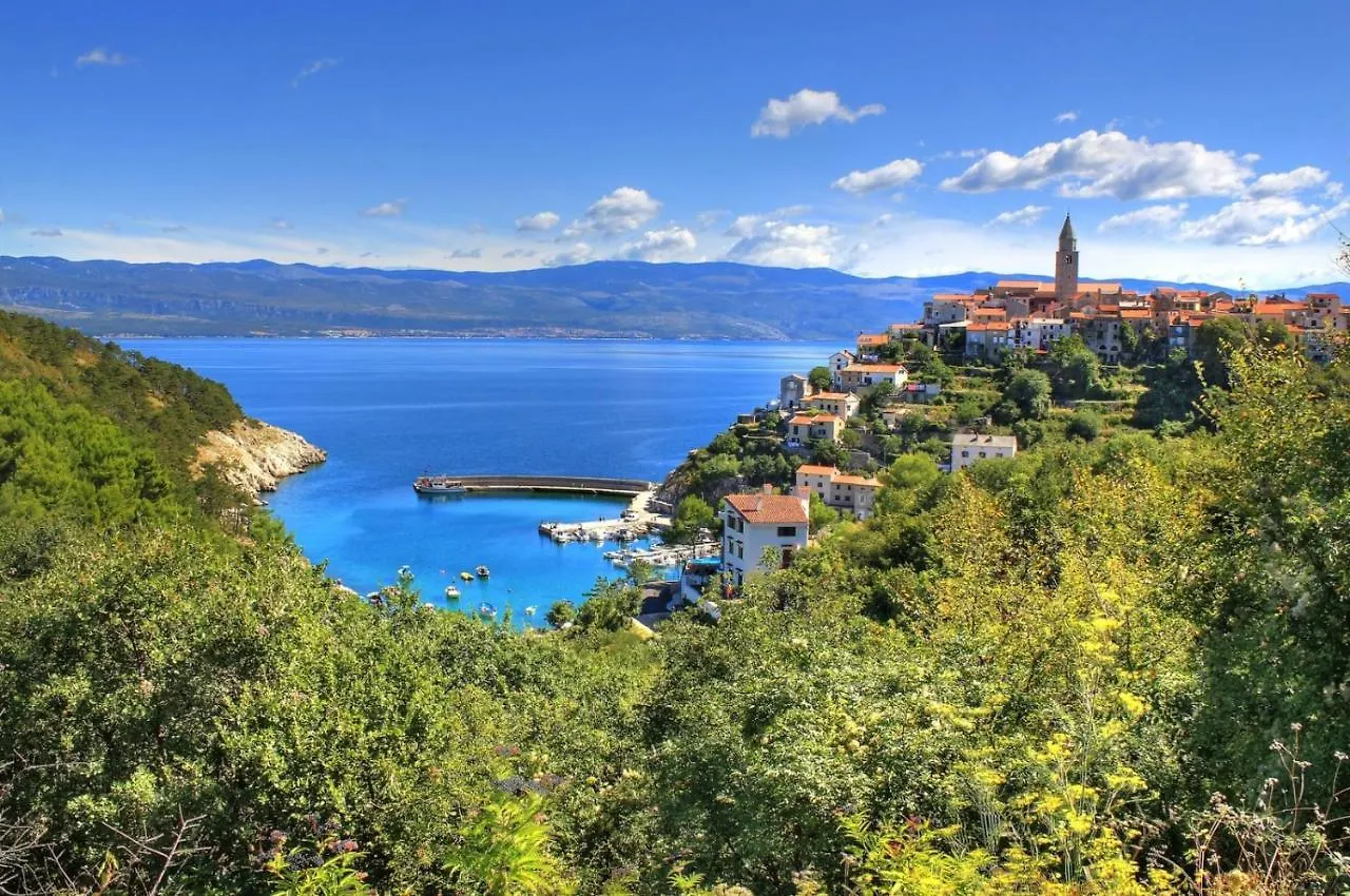 Apartment In Punat With Sea View, Terrace, Air Conditioning, Wifi 4534-4 Croatia